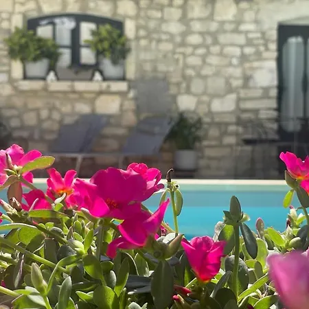 Couette-café Particulier Payan Champier Saint-Paul-Trois-Châteaux